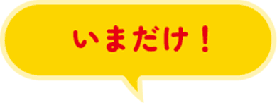 いまだけ