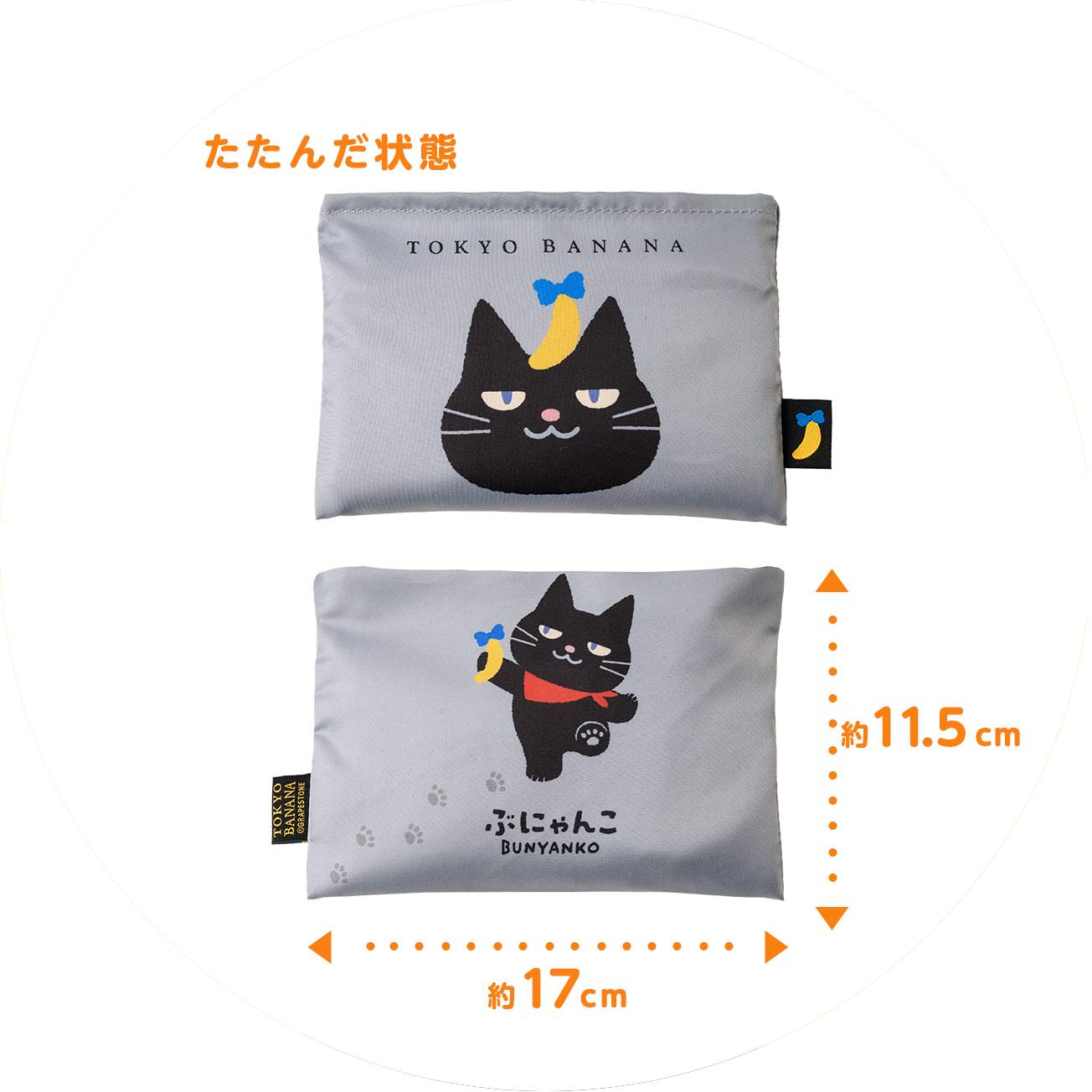 SAMPLE