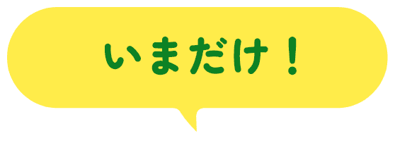 いまだけ