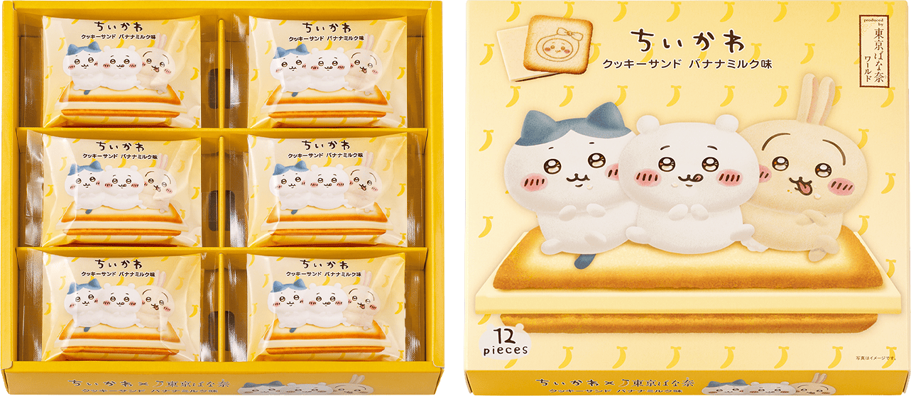 12枚入パッケージ