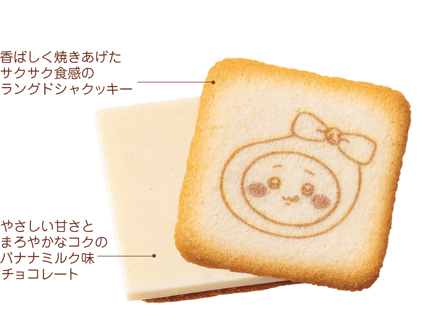 香ばしく焼きあげたサクサク食感のラングドシャクッキー、やさしい甘さと まろやかなコクの バナナミルク味 チョコレート