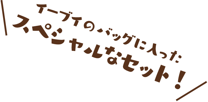 イーブイのバッグに入ったスペシャルなセット！