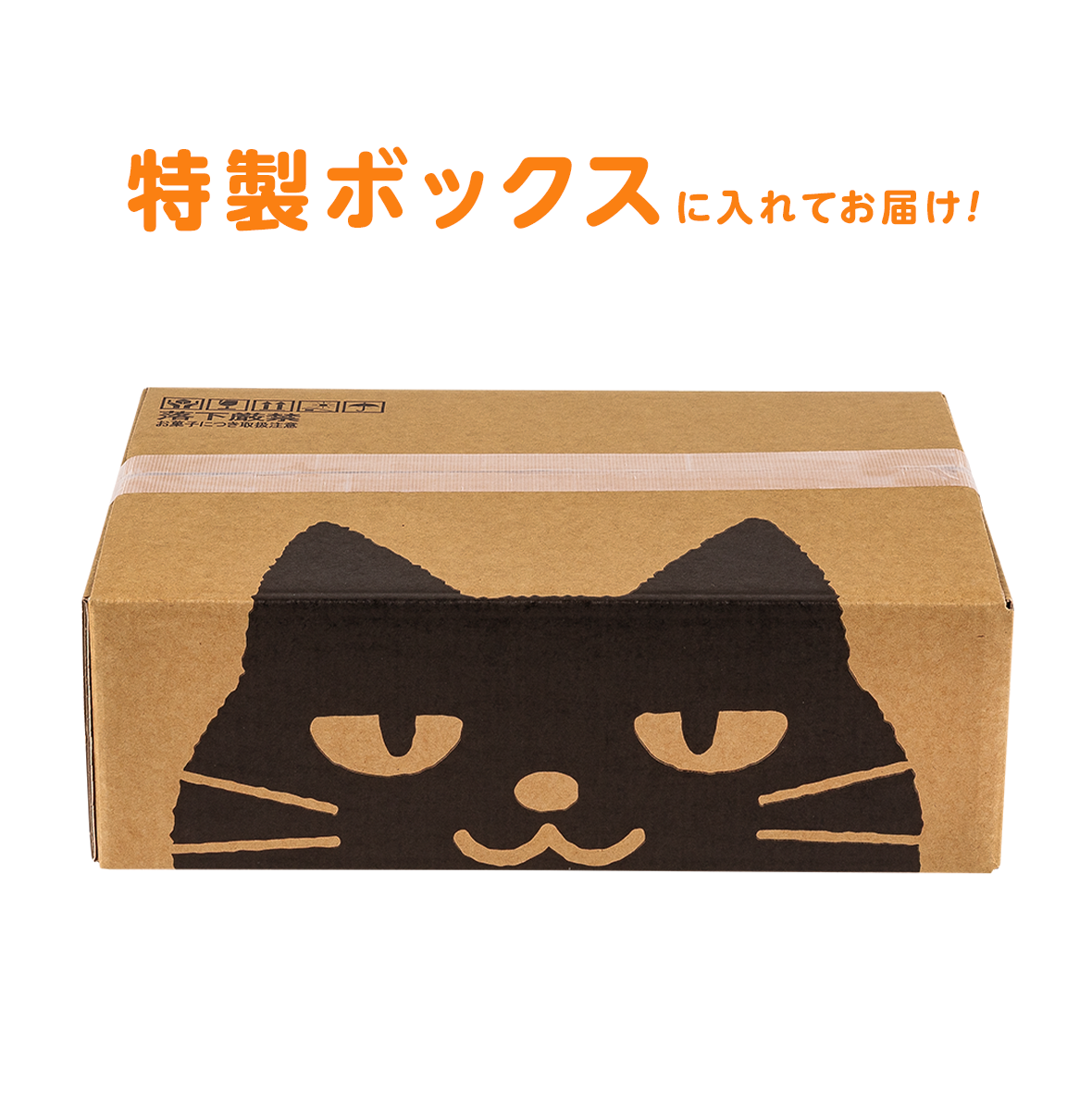 SAMPLE