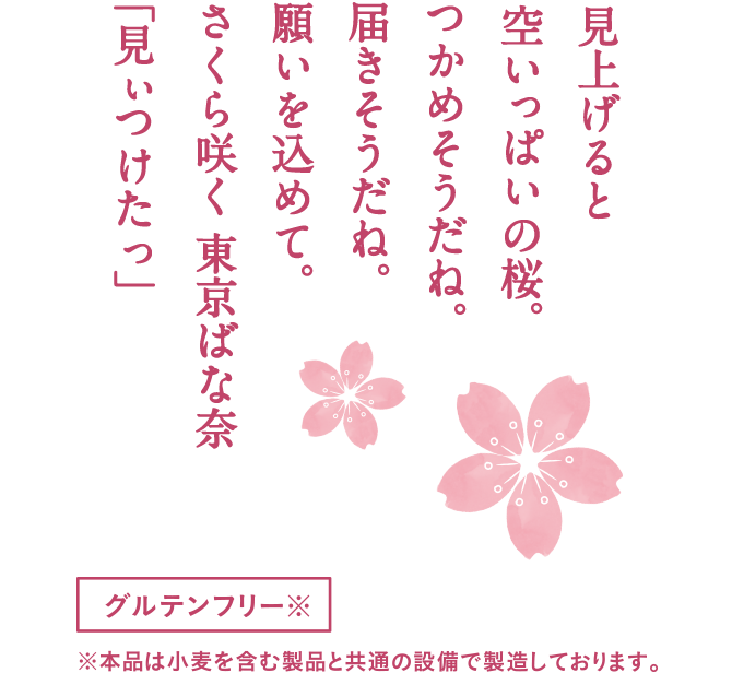 見上げると空いっぱいの桜。つかめそうだね。届きそうだね。願いを込めて。さくら咲く 東京ばな奈 「見ぃつけたっ」