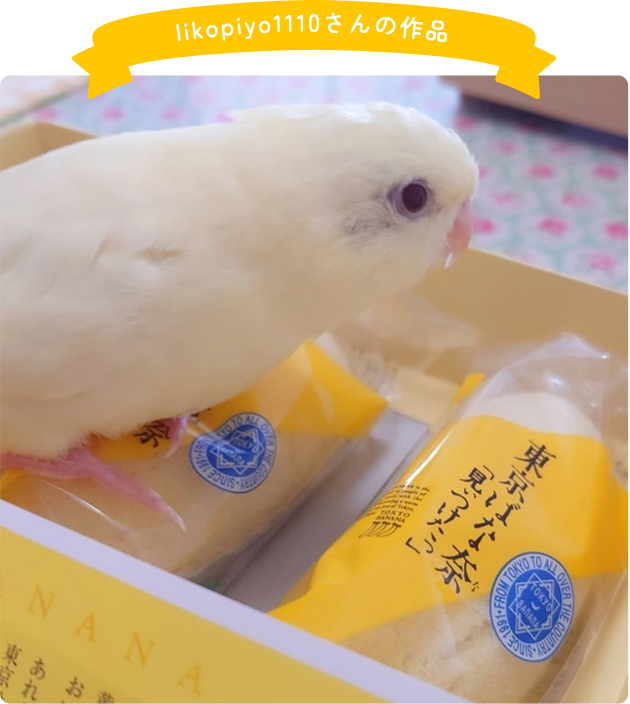 東京ばな奈賞の作品