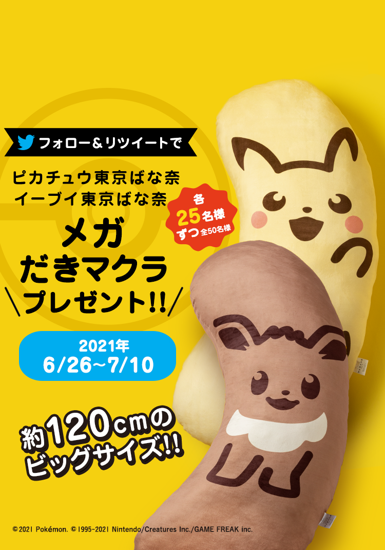 メガだきマクラ プレゼント!!